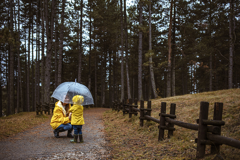 Umbrella Insurance Coverage